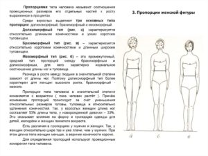 Пропорции ног к туловищу