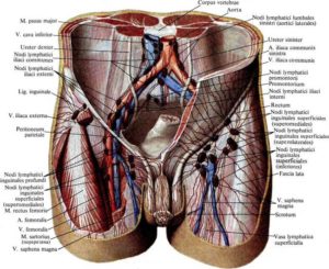 воспалилась в паху вена