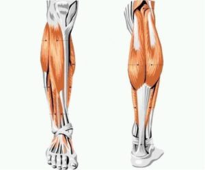 уплотнение на икроножной мышце или кости