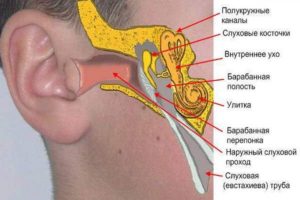 Не слышат оба уха после удара по голове