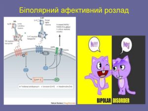 біполярний афективний розлад