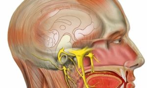 Нейропатия ушного нерва