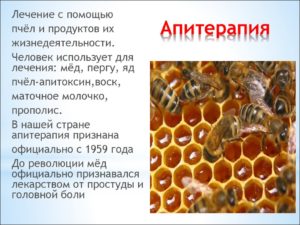 Апитерапия (лечение продуктами пчеловодства)