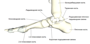 Болит ладьевидная кость стопы