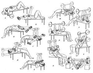 Упражнения на укрепление мышц грудной клетки