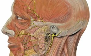 Нейропатия ушного нерва