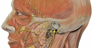 Нейропатия ушного нерва