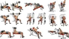 Силовые упражнения: укрепление грудных мышц