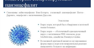 Семейство парамиксовирусов: Вирус подострого склерозирующего панэнцефалита (ПСПЭ)