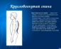 Кругло-вогнутая спина