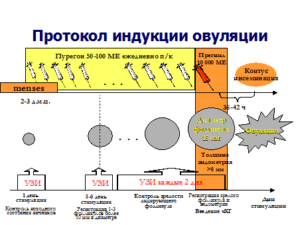 Укол диферелина при индукции овуляции