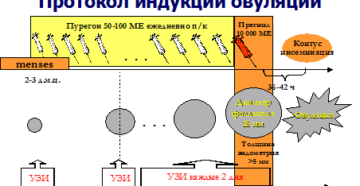 Укол диферелина при индукции овуляции