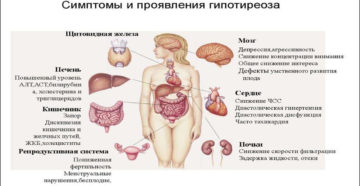 Депрессия, щитовидная железа и гормоны