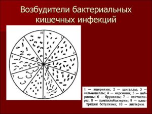 Бактериальные кишечные инфекции