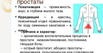 Симптомы болезни - боли в простате