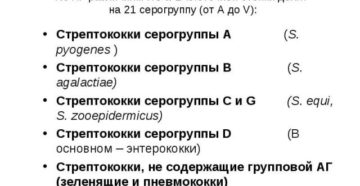 Стрептококки серогруппы В, С, D