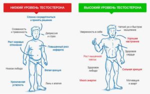 Низкий уровень тестостерона: Откуда вы знаете, что уровень слишком низкий?