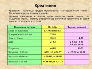 Доведение содержания креатинина в крови до нормы при одной почке.