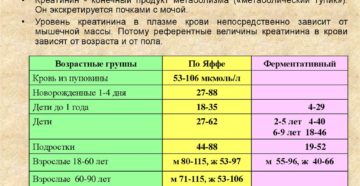 Доведение содержания креатинина в крови до нормы при одной почке.