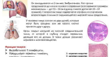 Гипоплазия вилочковой железы у годовалого мальчика.