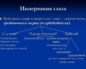 Двигательная и чувствительная иннервация глаза и его вспомогательных органов