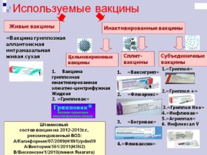 Инактивированная вакцина против гриппа