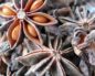 Illicium (Анис)