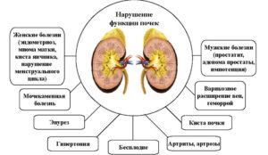 Симптомы болезни - нарушения функции почек