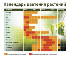 Благоприятные и неблагоприятные растения для аллергиков