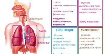 Хрип в легком