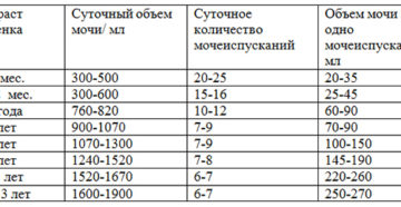 Сколько должен писать ребенок в 1,5 лет