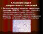Энтерогеморрагические кишечные палочки (ЭГКП)