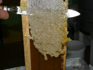 Пчелиный забрус
