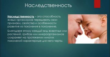 ОКР и наследственность