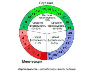 Попытки зачать – составления графика фертильности