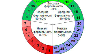 Попытки зачать – составления графика фертильности