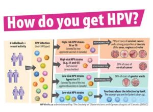 hpv-high risk