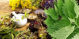Лекарственные травы: вред и польза
