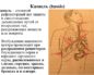 Откуда кашель?