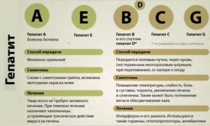 Гепатит С: профилактика, симптоматика, диагностика