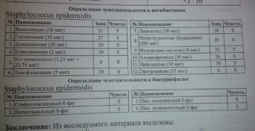 Staphylococcus epidermidis 10^3 КОЕ/мл  норма  или  отклонение...