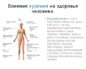 Воздействие курения на здоровье костей