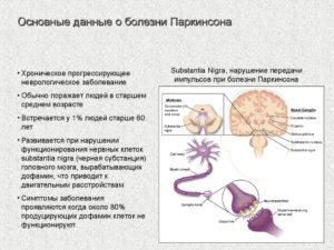 Болезнь Паркинсона: Общая информация