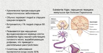 Болезнь Паркинсона: Общая информация