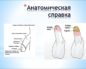 Рвется крайняя плоть.