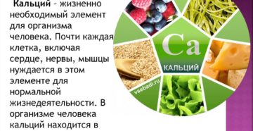 Источники необходимого организму кальция