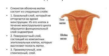 Не растёт эндометрий