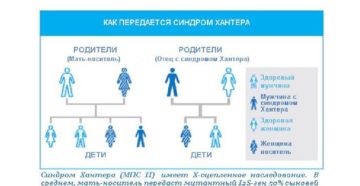 шизофрения и наследственность