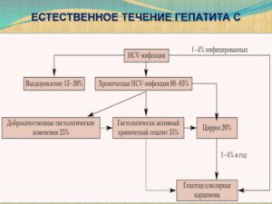 Контролируем течение гепатита С