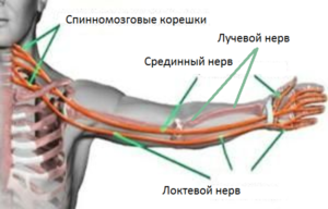 Боли в левой части грудной клетки, плече, онемение левой руки и пальцев